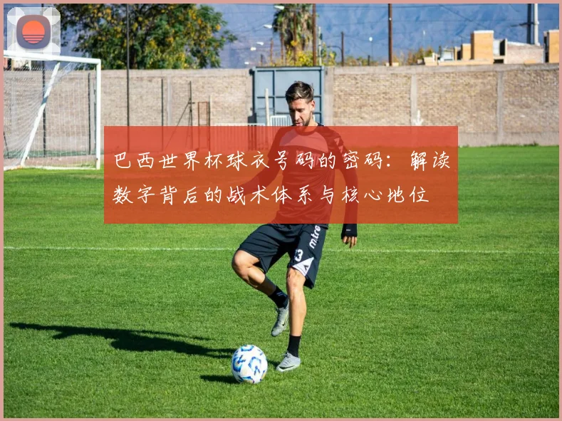 巴西世界杯球衣号码的密码：解读数字背后的战术体系与核心地位